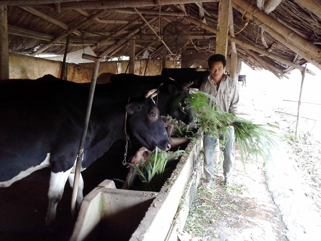 Vĩnh Phúc Công tác khuyến nông đóng góp tích cực trong xây dựng nông thôn mới
